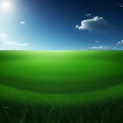 Obraz premium green field and blue sky