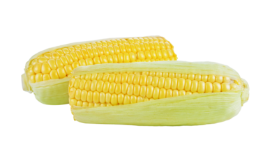 Corn transparent png