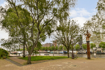 a tree in the middle of a parking lot with cars parked on the other side of the road behind it
