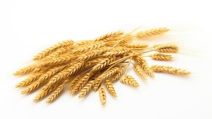 Fototapeta premium Wheat ears isolated on white background. Top view. Flat lay. AI generated Image