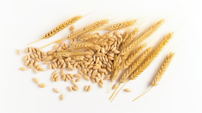 Wheat ears isolated on white background. Top view. Flat lay. AI generated Image