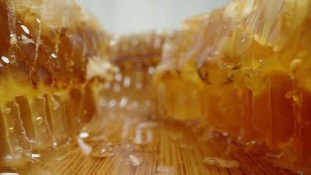 Honey dripping from honeycombs on a white background, the camera gliding between them, macro dolly shot.