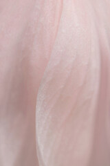 Fototapeta premium Beautiful chic peach petal texture with a plump line pattern that resembles the drape and slits of a dress.