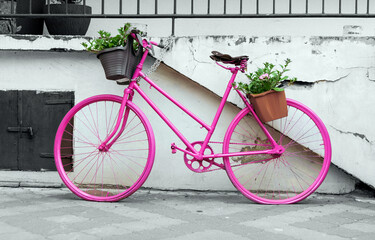 Różowy rower - obrazy, fototapety, plakaty