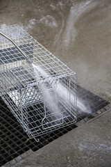 Washing cat cage