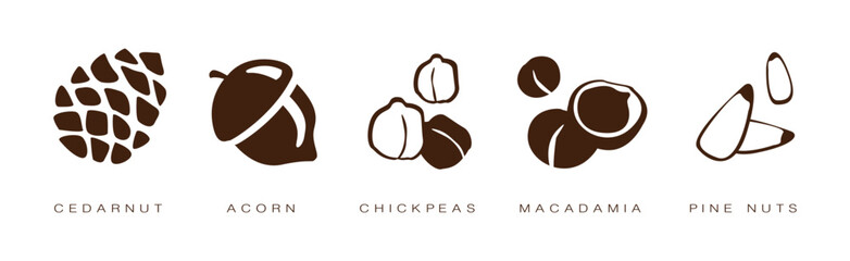 Seed and Nuts Brown Flat Icon with Name and Inscription Vector Set