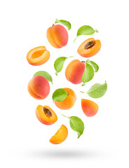Bright orange apricot, pink side, green leaves as flow fly or fall as art composition. Whole, half, quarter piece fruits isolated on white background. Fruits for advertising, design, label product.