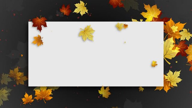 White blank sheet on autumn gray background with yellow falling maple leaves. Copy space. Looped animated festive floral frame.