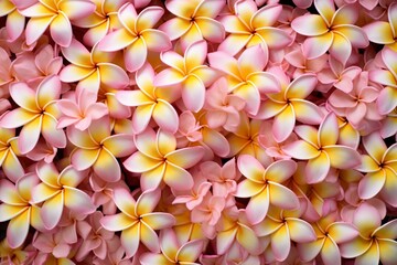a backdrop filled with fragrant frangipani plumeria blossoms. Generative AI