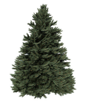 Albero con e senza foglie arancioni, verdi, gialle, rosse fondo trasparente e isolato	
