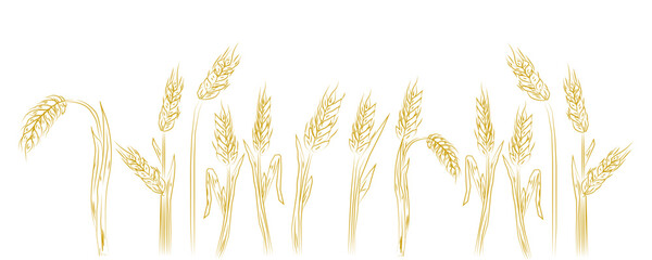 Wheat Ear vector icon. Wheat Ear logo. Grain icon. Agriculture symbol