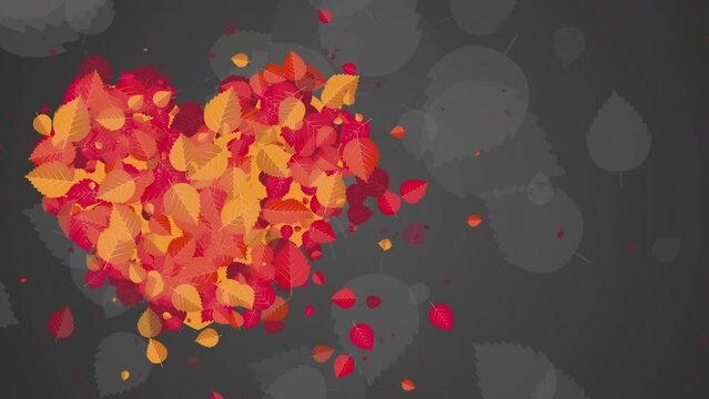 Animated heart shape made of yellow and red autumn leaves flying on a gray abstract background. Looped motion graphics.