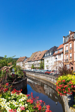 France, Grand Est, Wissembourg, Houses along Canal Lauter with blooming flowers in foreground