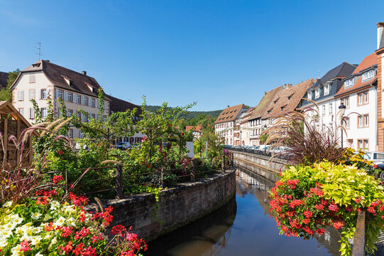 France, Grand Est, Wissembourg, Houses along Canal Lauter with blooming flowers in foreground