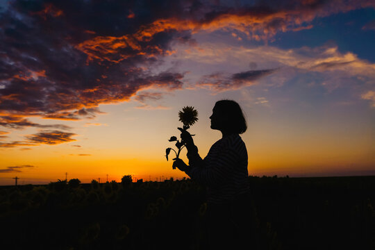 Silhouette of woman with sunflower in field at sunset