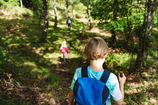 Boy hiking with sister and father in forest