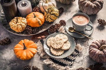 Obraz na płótnie Canvas Chai chocolate or hot cacao with chai cookies, pumpkins for Thanksgiving breakfast.