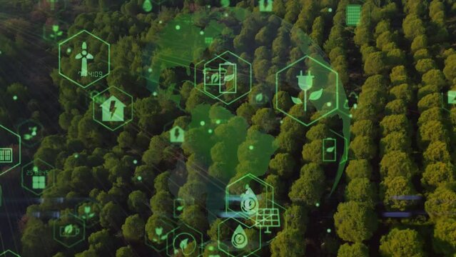 Green forest aerial view and environmental technology concept. Green tech. Ecology. Green transformation. GX. SDGs. High quality 4k footage