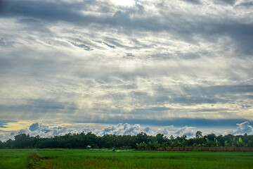 Obraz premium Nature