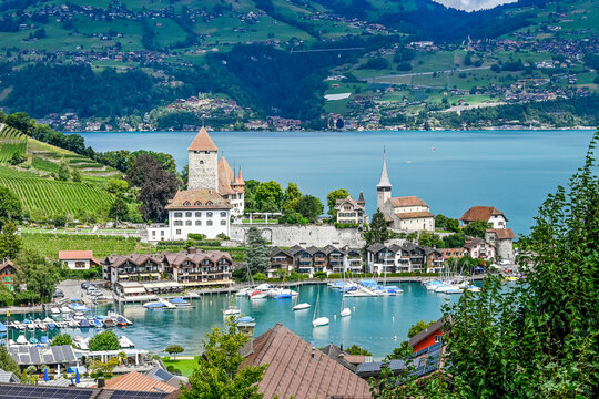 Spiez, Schloss Spiez, Schlosskirche, Stadt, Seeufer, Boote, Hafen, Thunersee, Schifffahrt, Seerundfahrt, Weinberge, Beatenberg, Niederhorn, Aussichtspunkt, Sommer, Schweiz 