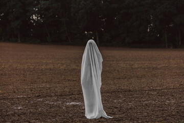 Woman covered in white sheet at field