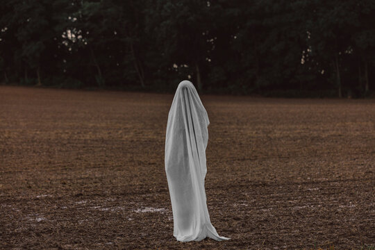 Woman covered in white sheet at field