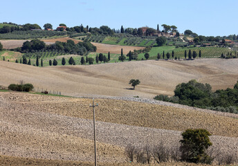 Fototapeta premium The rural landscape near Pienza in Tuscany. Italy