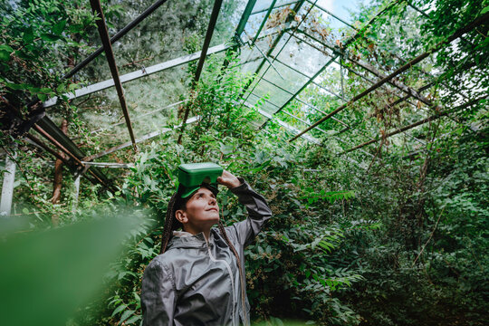 Woman with VR glasses looking at trees in greenhouse