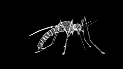 3D Mosquito on black background. Insects and nature concept. Dangerous insects. Business advertising backdrop. For title, text, presentation. 3d animation.