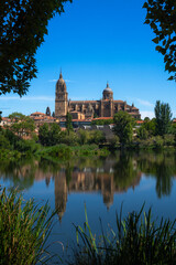 View framed by trees and vegetation of the Salamanca Cathedral from the other side of the Tormes River with its reflection in the calm water of the river. Vertical view.