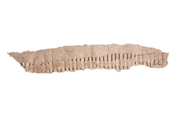 Torn Cardboard Texture For Design. Isolated PNG Paper Objects.