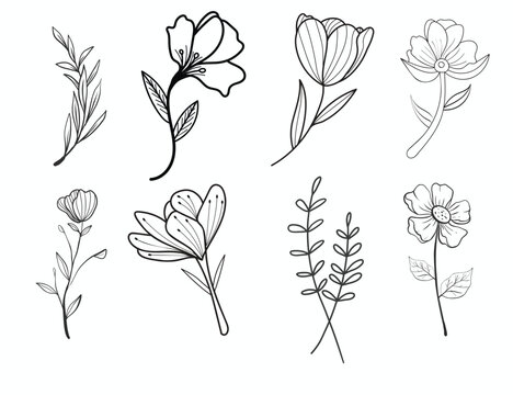 botanical vector flower black outline hand drawn floral illustration, set of hand drawn flowers