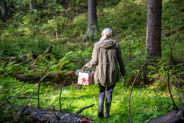 Woman picking berries and mushrooms in forest