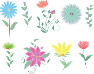 set of flowers, flower and leaves, watercolor flowers, use as greeting card invitation card for wedding, birthday and other holiday , summer background vector illustration