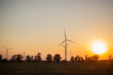 wind turbines at sunset