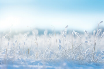 A winterthemed scene featuring a serene light background of snowcovered grass. The late morning light softly illuminates the scene, casting gentle and delicate shadows on the
