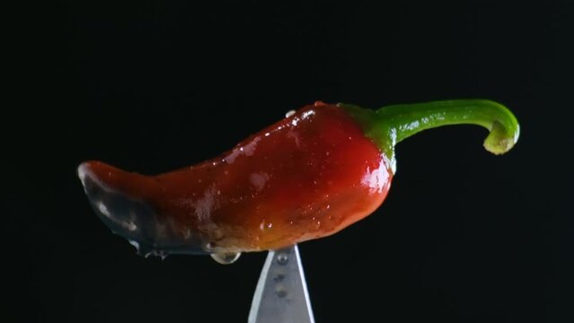 Close Up Rotating Shot of a Burned or Well Cooked Red Chili Pepper on the Tip of a Knife