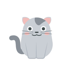 Animal Illustration