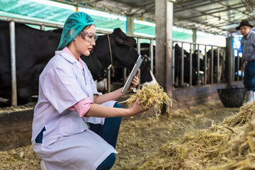 Asian veterinarian woman using tablet working in dairy farm