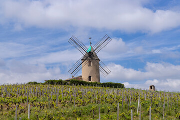 Windmill (Moulin a vent de Romaneche-Thorins), Chenas, Beaujolais, Saone-et-Loire, Bourgogne-Franche-Comte, France
