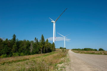 wind turbines and the environment of a beautiful sunny day
