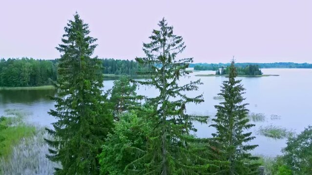 Drone images taking off from behind pine trees reveal a large lake with islands