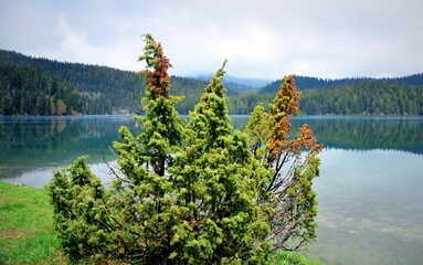  Black Lake is a lake located 3 km from the town of Žabljak in northern Montenegro. It is a...