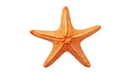 Fototapeta na wymiar starfish isolated on transparent background cutout