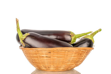 Three ripe eggplants in a straw dish, macro, isolated on a white background.