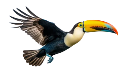 Fototapete Tukan toucan in flight isolated on transparent background cutout