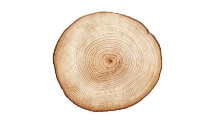 cross section of tree stump isolated on transparent background cutout