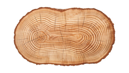 cross section of tree trunk isolated on transparent background cutout