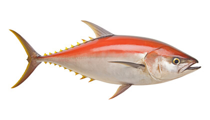 orange fish isolated on transparent background cutout