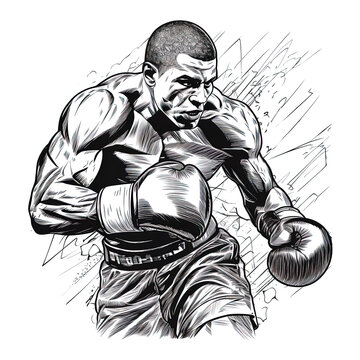 Male boxer linear art illustration.